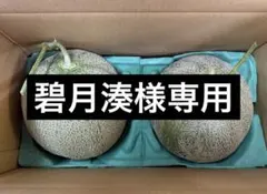 【碧月湊様専用】夕張メロン個選品2玉　1玉約1.6kg冷蔵のサムネイル