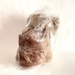 いっしょにぬくぬくくまさん ぬいぐるみ ブランケット付【新品・未開封】