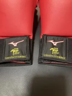 Item thumbnail for item 293f1574-acce-4f77-9bf3-871c9efe4750