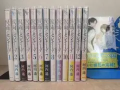 涙雨とセレナーデ(特典ペーパー付)1〜14巻 全巻・完結セット 河内遙