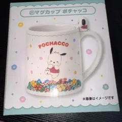 サンリオ当りくじ　21 ポチャッコ　マグカップ