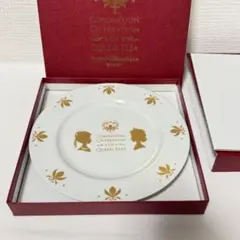 【最終お値下げ】ディズニー アナと雪の女王　プレート　ファンタジースプリングス