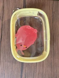 Item thumbnail for item e49ff47d-1f3e-4f26-b5bc-43bbc7d54c15