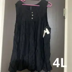 (4L)大きいサイズ　黒　トップス