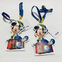 【未使用】　バケーションパッケージ　パスケース