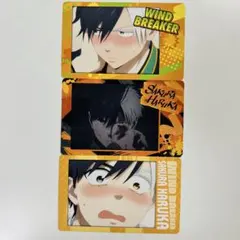 WINDBREAKER スナップマイド2 ウィンブレ 桜遥