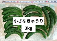 小さなきゅうり 3kg