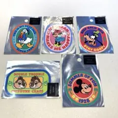 ディズニー　キャラクターステッカー5枚セット