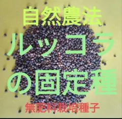 みっちょし様 リクエスト 3点 まとめ商品