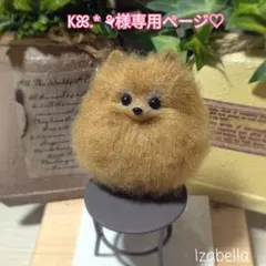 Kꕤ︎︎.* ⚘様専用ページ♡