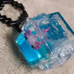 Item thumbnail for item ed58b358-3126-47d8-bdf1-833fa58ae18b