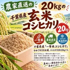 コシヒカリ 玄米 20kg 特別栽培米 令和7年度産 千葉県産 - メルカリ