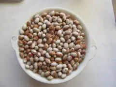 ユーロップ様 リクエスト 2点 まとめ商品