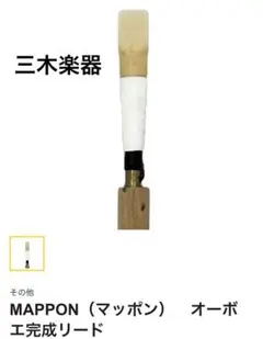 Item thumbnail for item 890eb50a-5b0f-4ab7-96ac-4538489f8823