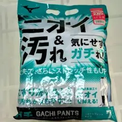 Item thumbnail for item 27340bbe-2069-4ee2-8f34-228b5454329c