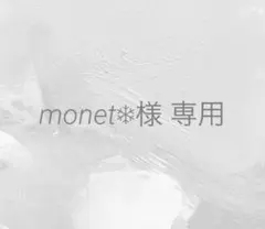 monet❄︎様 リクエスト 3点 まとめ商品