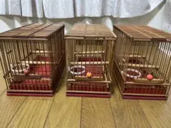 2025年最新】メジロ かごの人気アイテム - メルカリ