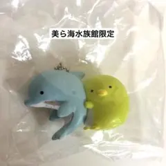 美ら海水族館限定 すみっコぐらしキーホルダー ミナミバンドウイルカとぺんぎん？