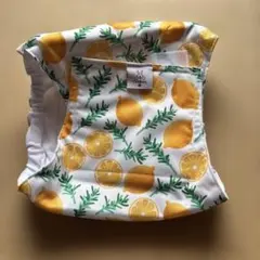 Item thumbnail for item 282d428c-15cf-432d-83a5-ad1bd7d577cf