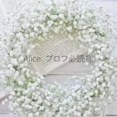 Alice プロフ必読様　専用ページ