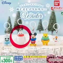 ディズニーキャラクター　めじるしアクセサリー Winter ベイマックス