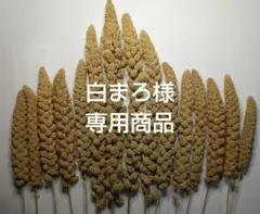 白まろ様 専用商品