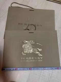 Item thumbnail for item 1f7256a3-f071-420d-854b-b590b28ac779