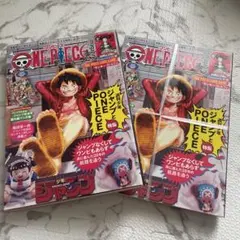 ワンピースマガジン20号2冊まとめ売り　ルフィプロモ付録付き