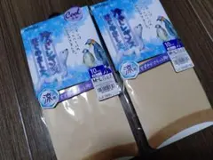 ATSUGI 冷やし レギンスM-L 20デニール　10分丈のサムネイル