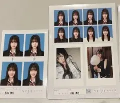 seju 証明写真