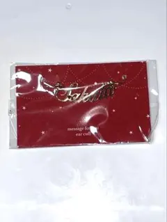 浦島坂田船 あほの坂田 となりの坂田 イヤーカフ