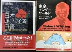 東京アンダーワールド/日本地下経済白書