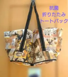 Item thumbnail for item 1a43c4b5-d692-4e22-bfff-62a046ba6aba