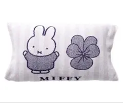 Item thumbnail for item 122b0f13-1d52-46cb-b567-4423c70fdd51