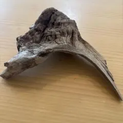 Item thumbnail for item 2e2acfdc-0aa5-44c7-9ae7-11c34a0235a9