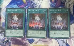 遊戯王 禁じられた聖冠 2枚セット - メルカリ