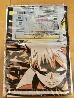 Item thumbnail for item fe4c2caa-fac1-476b-8ca9-263d22500027