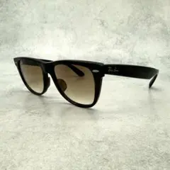 Ray-Ban レイバン サングラス ウェリントン　WAYFARRER ブラウン