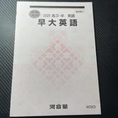 河合塾 夏期講習 テキスト 早大英語