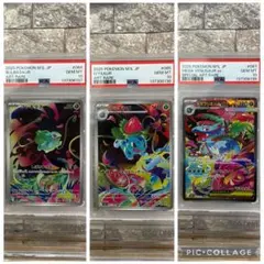【PSA10】【3連番 】フシギダネ フシギソウ フシギバナex
