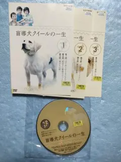 Item thumbnail for item 71b8c037-01e2-47df-8de4-7095a4ccc136