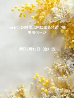 ❤mrk♡ 24時間以内に匿名発送♡様専用ページ❤