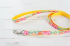 Item thumbnail for item 34d18cc2-14f4-402a-ac4b-33c45ed85bd2