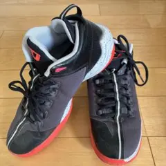 JORDAN CP.IX AE 27.5cmのサムネイル