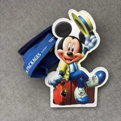 【美品】東京ディズニーリゾート　バケーションパッケージ　ミッキーパスケース