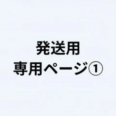 REN様　専用ページ①