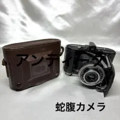 2026年最新】蛇腹カメラの人気アイテム - メルカリ
