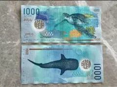 モルディブ 1000ルフィア（MVR）紙幣（海亀・ジンベイザメ） - メルカリ