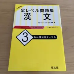 大学入試 全レベル問題集 漢文 3 私大・国公立大レベル