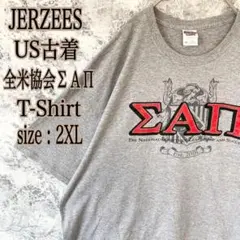 IT217 US古着ジャージーズ全米協会ΣΑΠロゴ半袖ストレッチTシャツ2XL